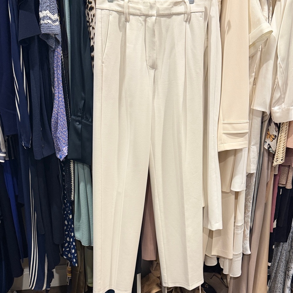 Aritzia Wilfred Women's Pant